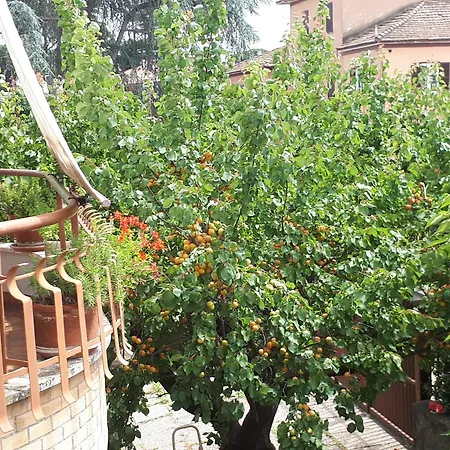 Casa Vacanze Anna Holiday home Rome
